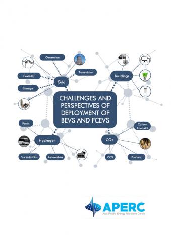 Challenges and Perspectives of Deployment of BEVs and FCEVs